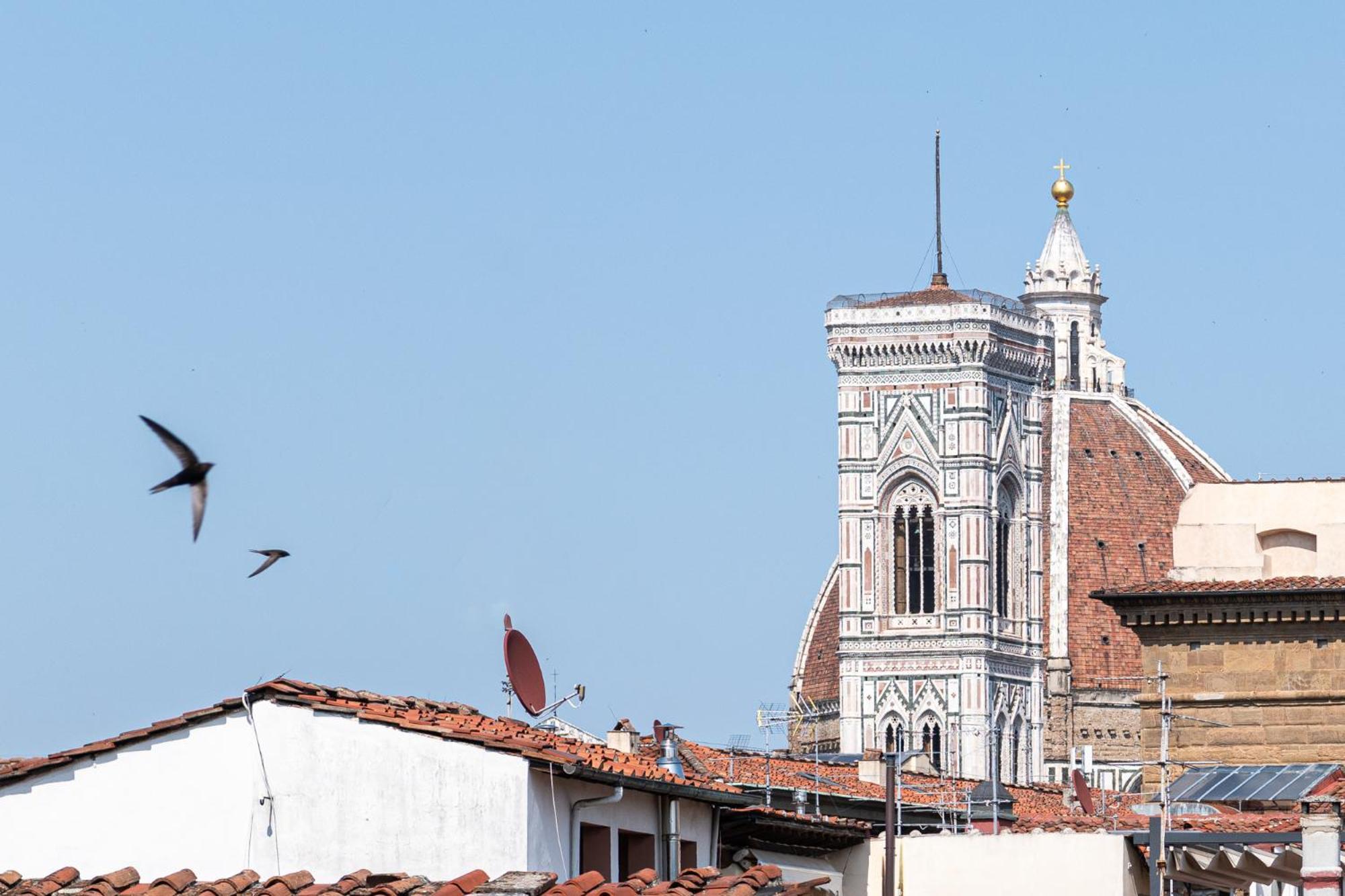 Parione Loft In Town Center Appartement Florence Buitenkant foto